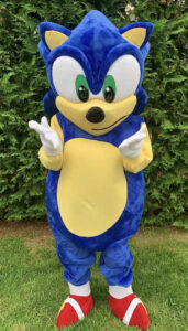 Rent Sonic for a Birthday Party